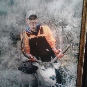 Meet your Posher, Shawn